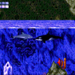 Ecco The Dolphin